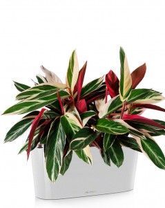 Строманта DELTA 20/45 см, Белый блестящий Строманта DELTA 20/45 см, Белый блестящий