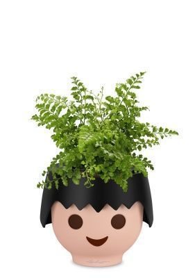 Папоротник Парвати в OJO, черный Папоротник Парвати в OJO, черный