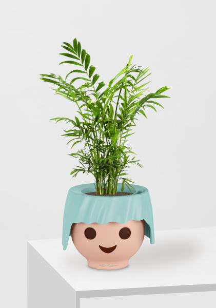 Хамедорея Элеганс 12/45 см в OJO