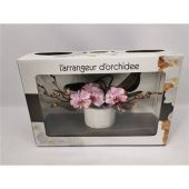 Фаленопсис L'arrangeur D'orchidee Special (phalaenova) d12 см h35 см тип 1