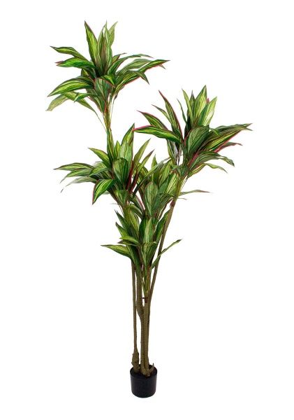 Дерево искусственное в кашпо "Драцена", H180 см