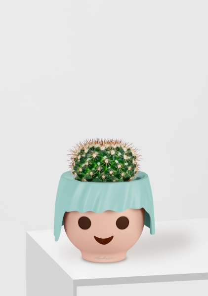 Кактус Маммиллярия Унцината 12/20 см в OJO