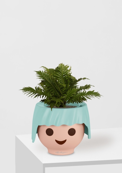 Блехнум 12/30 см в OJO