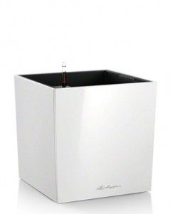 Кашпо LECHUZA CUBE 50х50 см