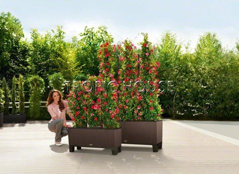 Тумба для TRIO 40