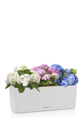 Гортензия Цветной Микс в BALCONERA Stone 50, песочный белый Гортензия Цветной Микс в BALCONERA Stone 50, песочный белый