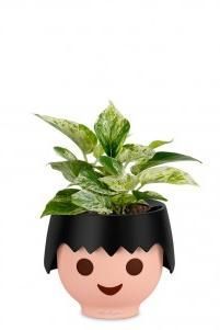 Сциндапсус в OJO 20 см, черный Сциндапсус в OJO 20 см, черный