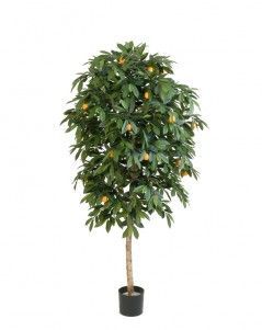 Мандарин Оранж