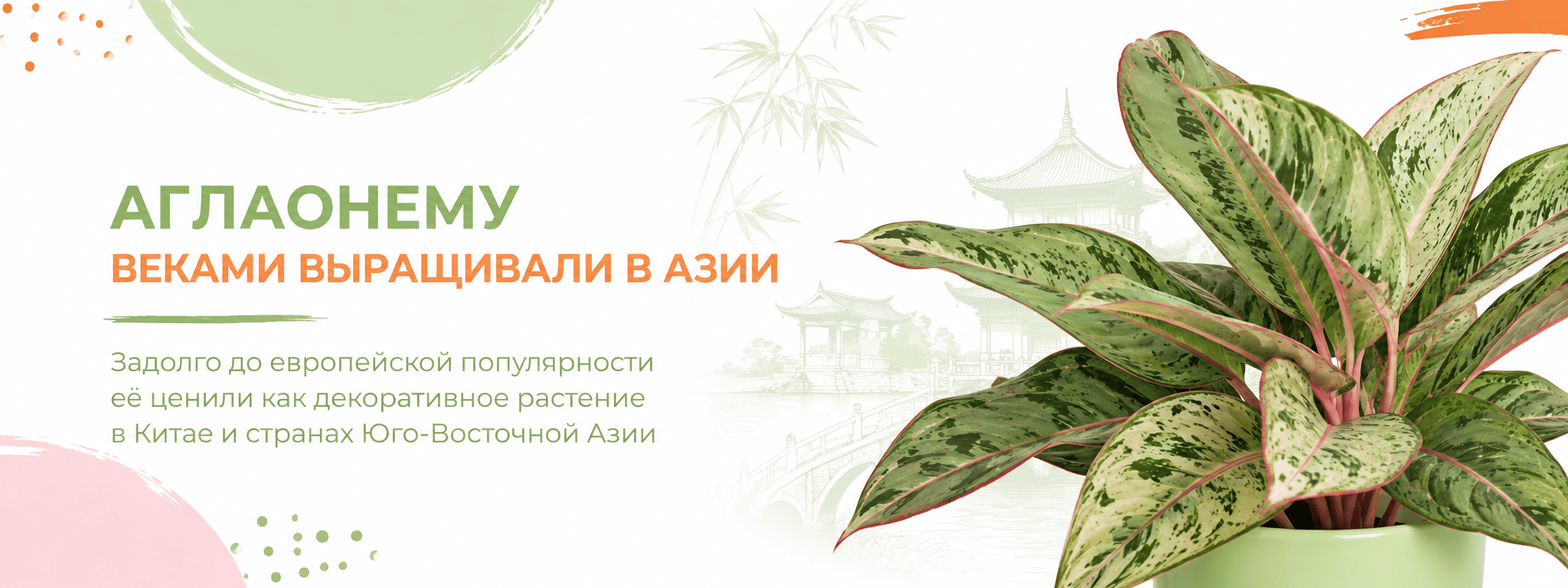 межстраничный лиственные 3 межстраничный лиственные 3