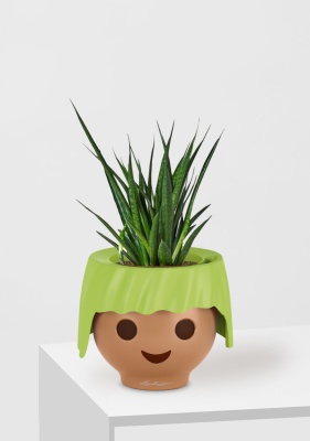 Сансевиерия Кирки 12/37 см в OJO, зеленый