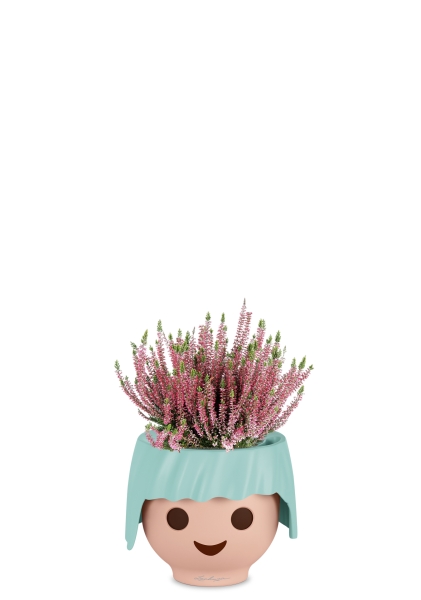 Вереск (Эрика) розовый в OJO