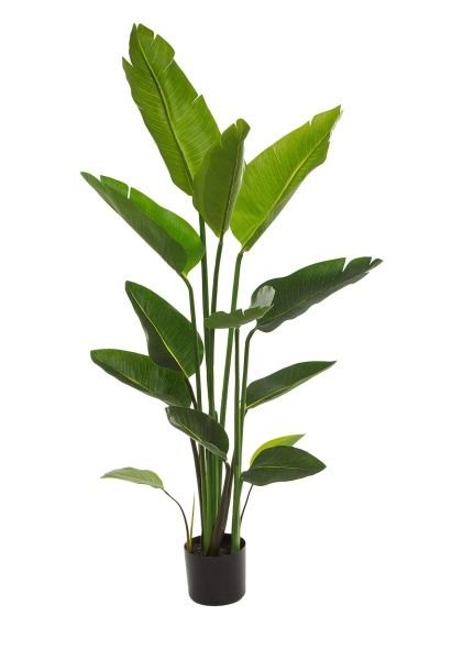 Растение искусственное в кашпо "Стрелиция люкс", H120 см, 13 веток