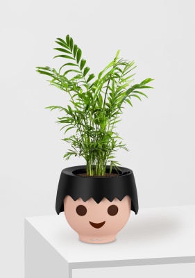 Хамедорея Элеганс 12/45 см в OJO