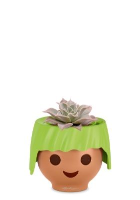 Эхеверия Мадиба 12/16 см в OJO, зеленый