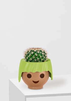 Кактус Маммиллярия Унцината 12/20 см в OJO, зеленый