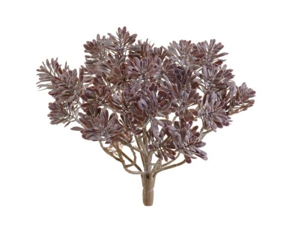 Дасти Миллер куст фиолетово-зелёный припыленный