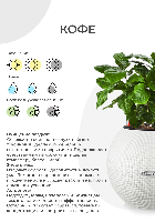 Кофе 12/30 см в CUBE GLOSSY 14 Кофе 12/30 см в CUBE GLOSSY 14