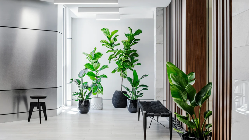 Как озеленить бизнес-центр: от ресепшн до конференц-зала