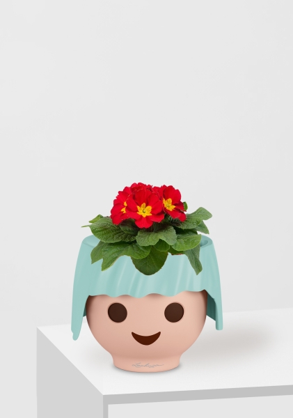 Примула 12/30 см в OJO Примула 12/30 см в OJO