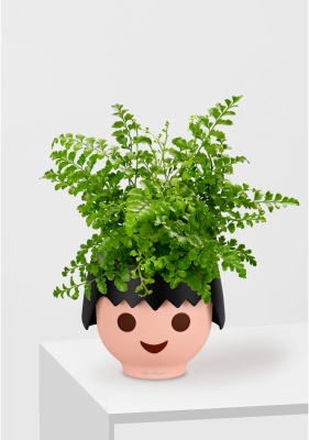 Папоротник Парвати 12/25 см в OJO, черный Папоротник Парвати 12/25 см в OJO, черный