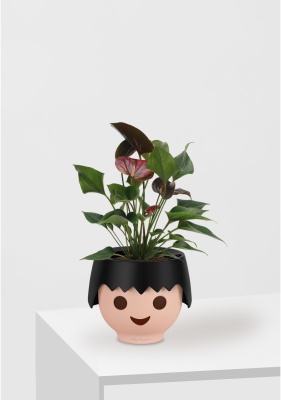 Антуриум Андре шоколадный 12/40 см в OJO Антуриум Андре шоколадный 12/40 см в OJO