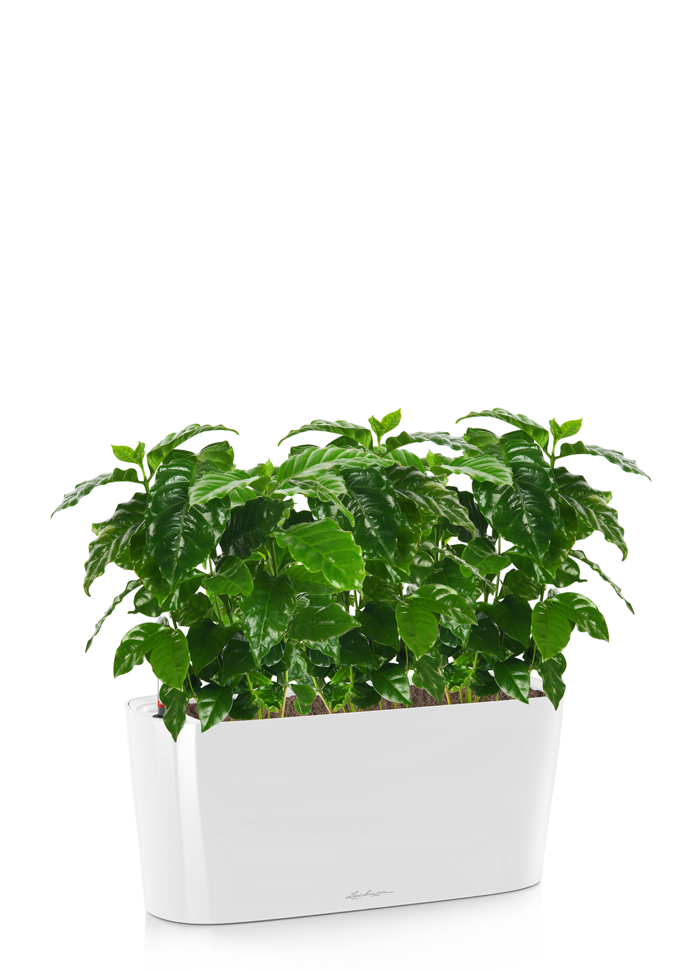 Кофе в DELTA 20 Кофе в DELTA 20