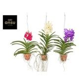 Ванда In Terracotta Red d14 см h50 см