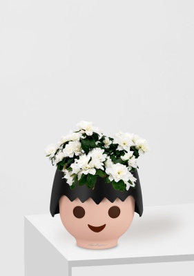 Азалия индика белая 12/25 см в OJO