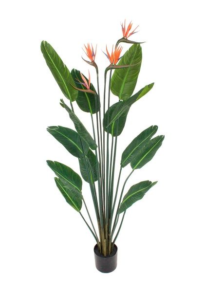 Растение искусственное в кашпо "Стрелиция", H150 см, 4 ветки, 14 листьев, с цветами