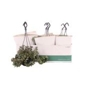 Крассула денежное дерево d10.5 см h30 см Крассула денежное дерево d10.5 см h30 см