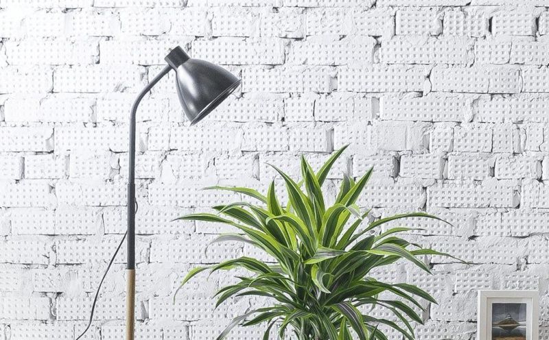 Как выбрать лампы для подсветки растений?