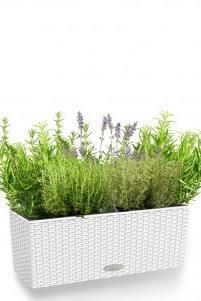 Пряные травы Cottage 50/40 см, белый