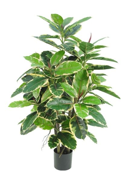 Дерево искусственное в кашпо "Фикус Робуста", Н61 см, 120 листьев