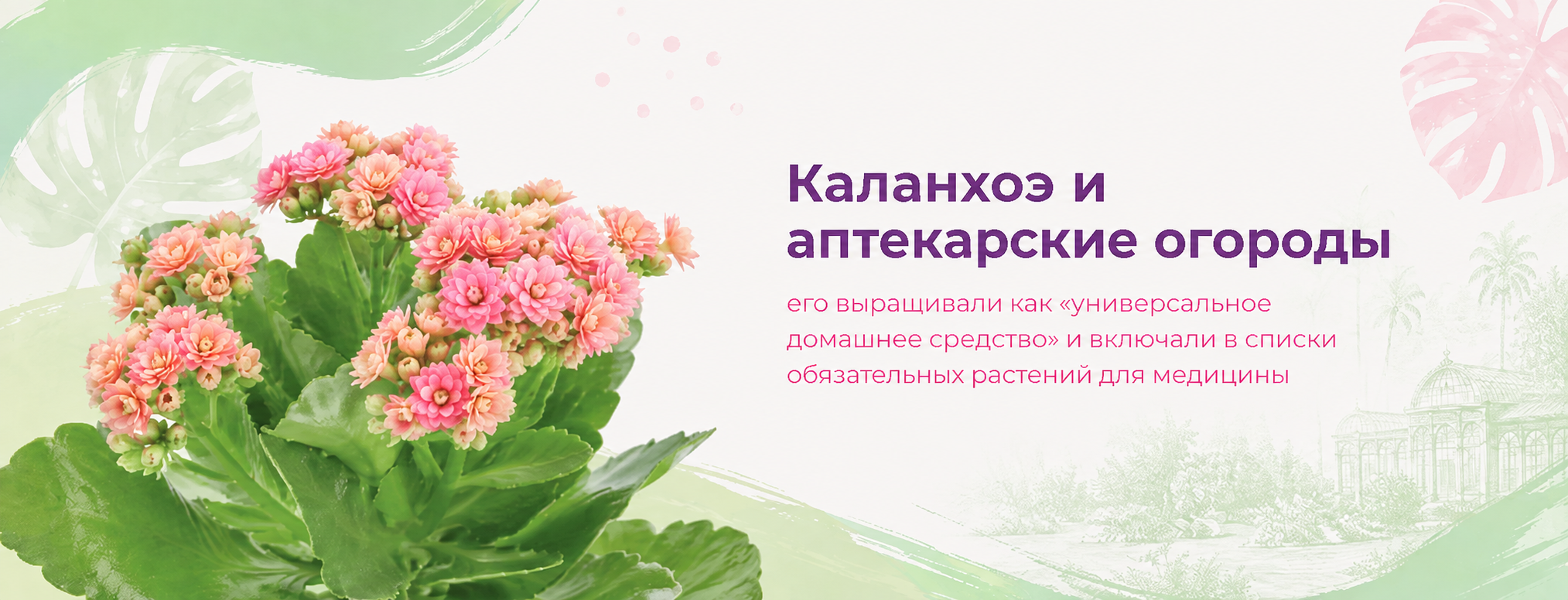 межстраничный цветущие 2 межстраничный цветущие 2