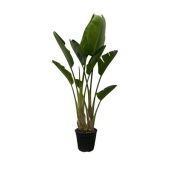 Стрелиция Николай 3 ствола d30 см h180 см Стрелиция Николай 3 ствола d30 см h180 см