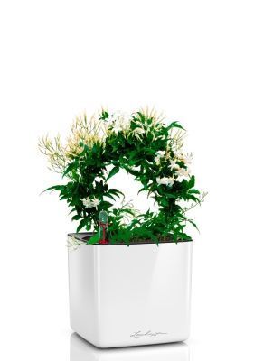 Жасмин на опоре 12/35 см в CUBE GLOSSY 14, белый блестящий