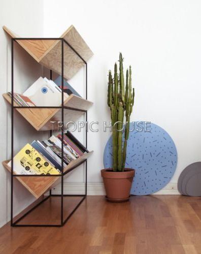 Эуфорбия Молочай Рубра 17/65 см