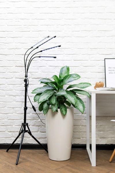 Фитолампа напольная со штативом, 40 Ватт Фитолампа напольная со штативом, 40 Ватт