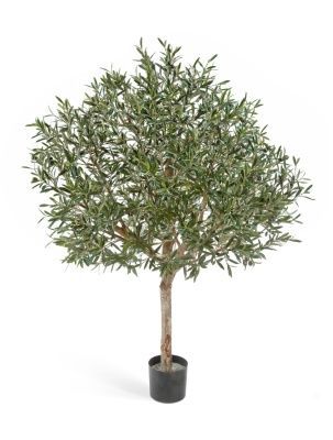 Олива натуральная топиари с плодами