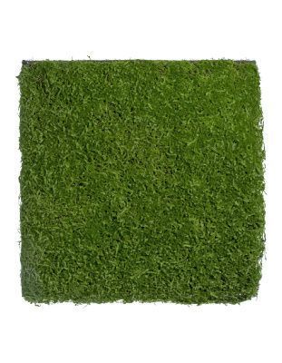 Мох Сфагнум полотно большое