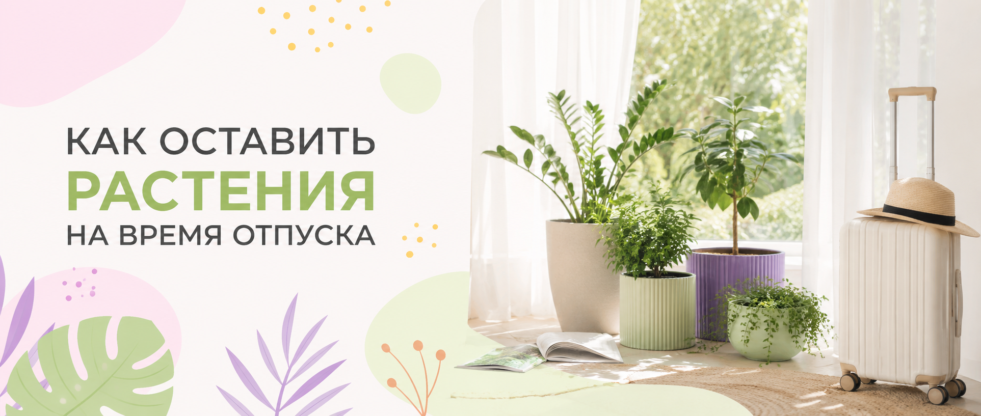 Как оставить комнатные растения на время отпуска: подготовка, полив и безопасное место Как оставить комнатные растения на время отпуска: подготовка, полив и безопасное место