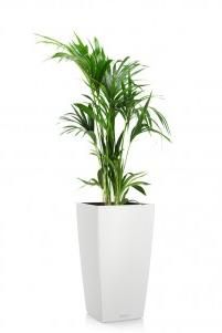 Ховея CUBICO 30/155 см, белый Ховея CUBICO 30/155 см, белый