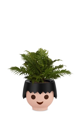 Блехнум 12/30 см в OJO