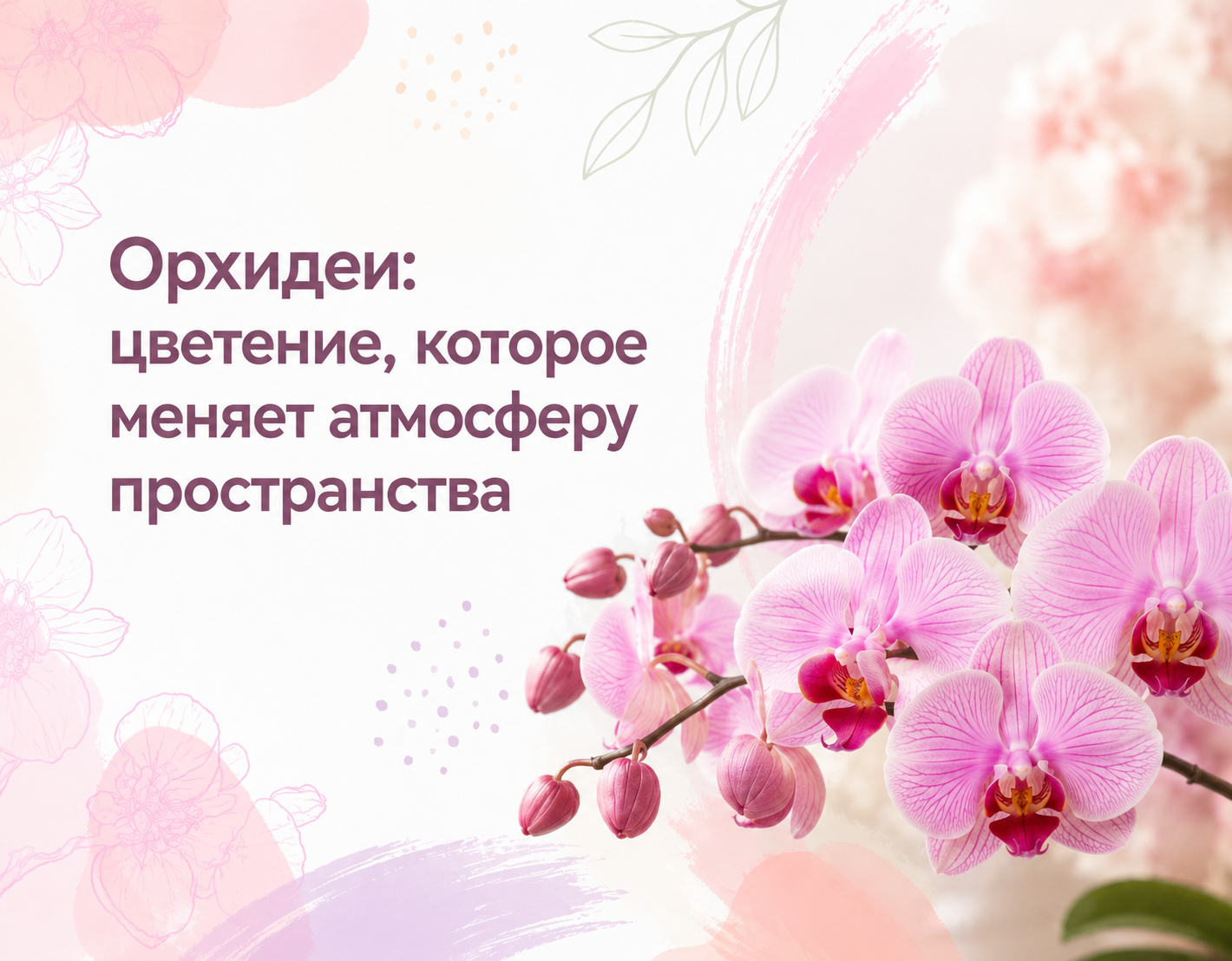 Орхидеи в техническом горшке