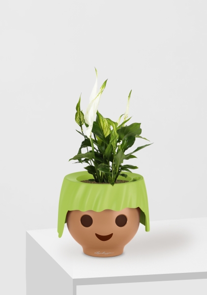 Спатифиллум 9/30 см в OJO Спатифиллум 9/30 см в OJO