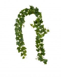 Английский плющ гирлянда двойная