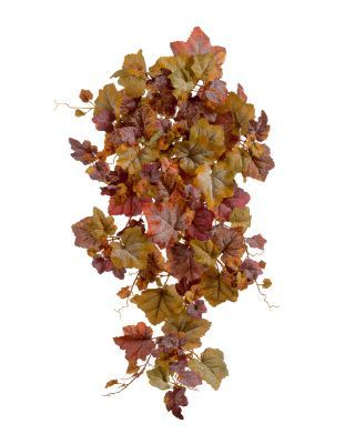 Виноградный куст жёлто-красный микс