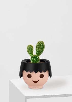 Опунция Мелковолосистая Паллида 6/12 см в OJO Опунция Мелковолосистая Паллида 6/12 см в OJO