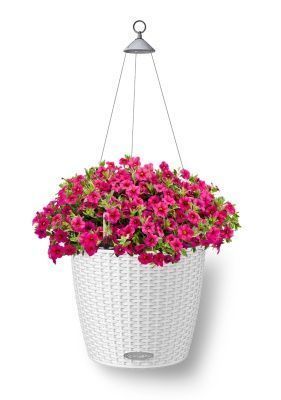 Петуния Розовая в NIDO Cottage 27, белый Петуния Розовая в NIDO Cottage 27, белый