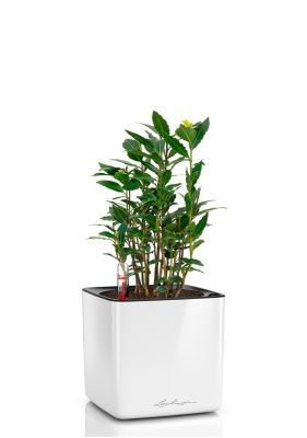 Лавр 14/40 см в CUBE GLOSSY 16, белый блестящий Лавр 14/40 см в CUBE GLOSSY 16, белый блестящий